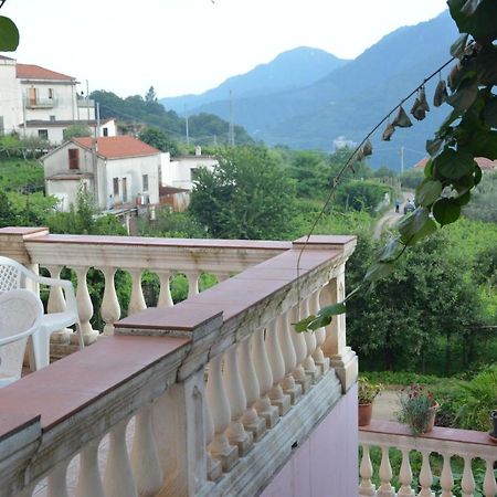特拉蒙蒂Antica Casa Cavaliere别墅 外观 照片